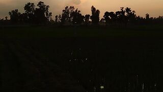 Sunset time and netural sounds