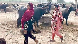 Daily Village Life Style