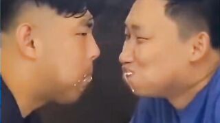 What the Funny Video