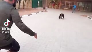 পশুদের ভালোবাসা কখনো মিথ্যে  বা অভিনয় হয় না
