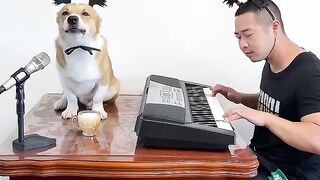 Amazing video of singing with dogs