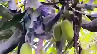 না দেখলে মিস করবেন 3