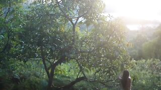 The Bountiful Food of the Rainforest