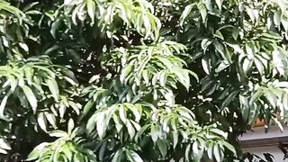 অন্তরের প্রশান্তি