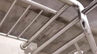 Cat Funny Video 3