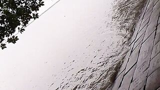 পাড়ের ধারে নদীর সৌন্দর্য | Nature's Serene Riverbank View