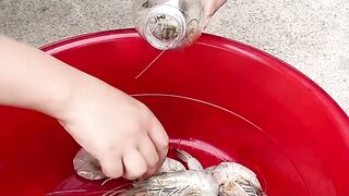 funny 318
