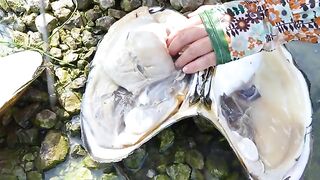 Hunting for Giant Clams in the Swamp, I Discovered the Most Precious and Enchanting Pearl!!