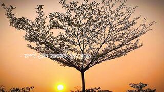 আল্লাহ তোমার আপনজন
