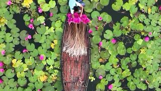 Beauty Of Water