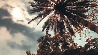 natural Video