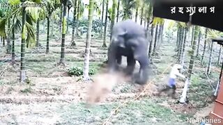 শেষবারের মতো মৃ-ত্যুর থেকে বেচে ফিরতে পারা কিছু মানুষ