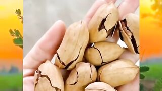 কি ভাবছিলেন