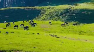 Dream place ????