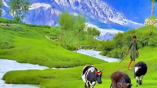Kashmir Valley 5
