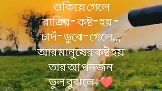 গাছের কষ্ট হয় পাতা ঝরে গেলে