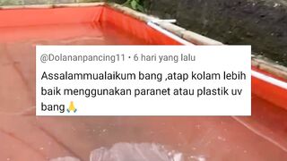 ATAP kolam bagus PARANET atau plastik UV❓