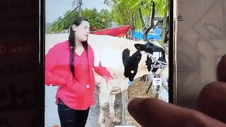 Funny video ???? 87