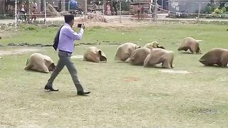 হাসতে হাসতে পেট ব্যথা হয়ে যাবে ????????????????????
