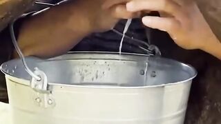 Organik Food