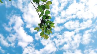 The Natural Scenery..????????
