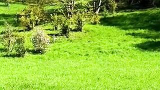 Beautiful nature 202
