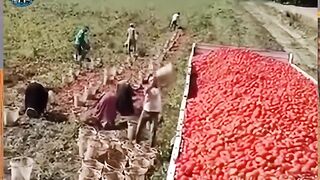 The incredible talent will make your eyes roll