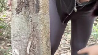 Cut the tree stump
