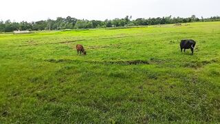 View of my village