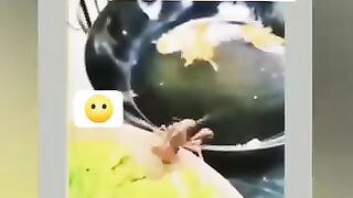Support please 2