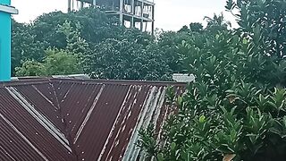 This is Bangladesh. Nature video