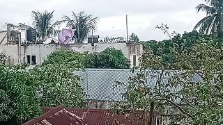 Cyclone video. Nature video