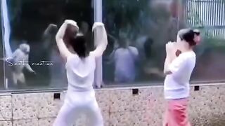 Funny video clips ????