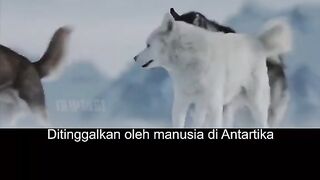saksikan terus kisahnya ya guys.... 4