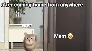 When a expatriate come to his home
