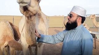 Mizanur rhaman ajahari waz