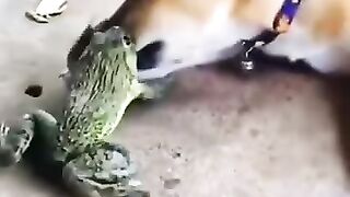 Funny video. 13