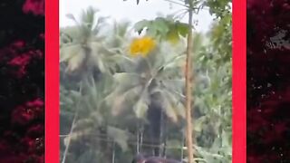 What a funny video ???????????? 2
