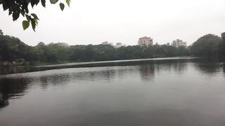 Nature, Pond, Early Morning