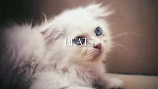 Heart Beats