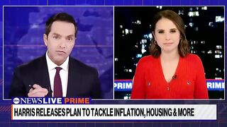 Analyzing Harris’ plan to end price gouging and create tax credits for families