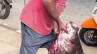 Amazing!World Biggest Catla Fish In Vollage