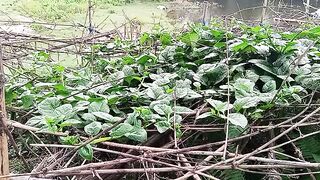 গল্প তোমার আমার