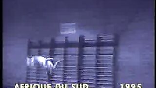 Funny Video 296