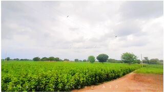 Rainy Day in Village