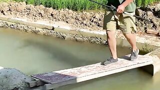 Laugh till you drop! #funnyvideos #comedy
