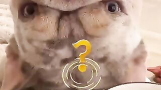 Funny video