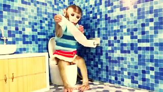 Monkey Shenanigans: A Laugh-Out-Loud Video