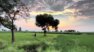 Nature x mitwaa