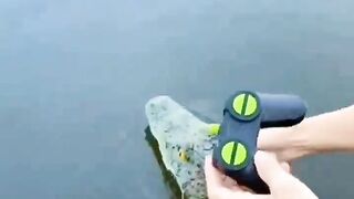 Crocodile ???? head